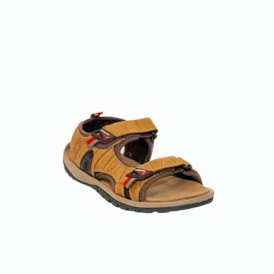 GD 3999121 CAMEL
